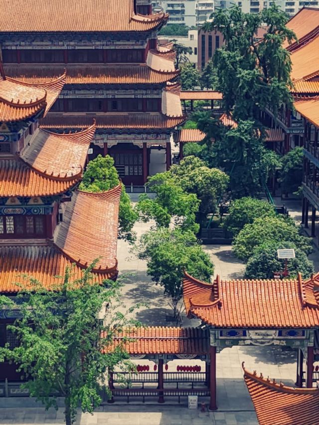 古城墙景区旅行图片 3