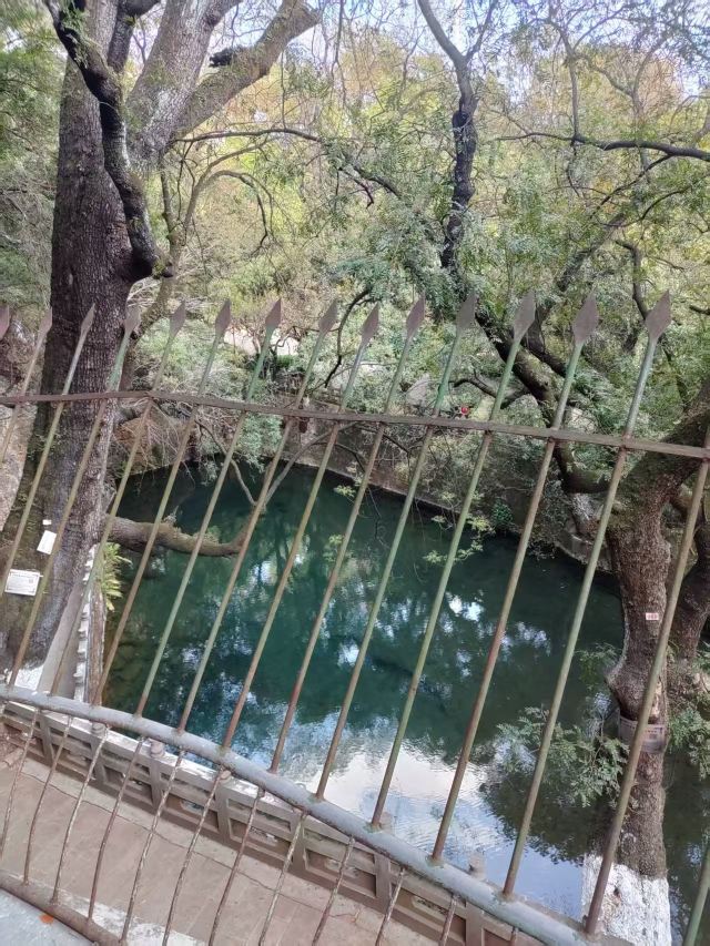 玉溪九龙池古建筑群-九龙宫旅行图片 6