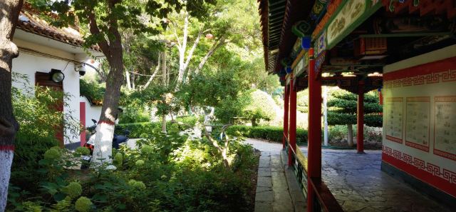 鼓楼旅行图片 4