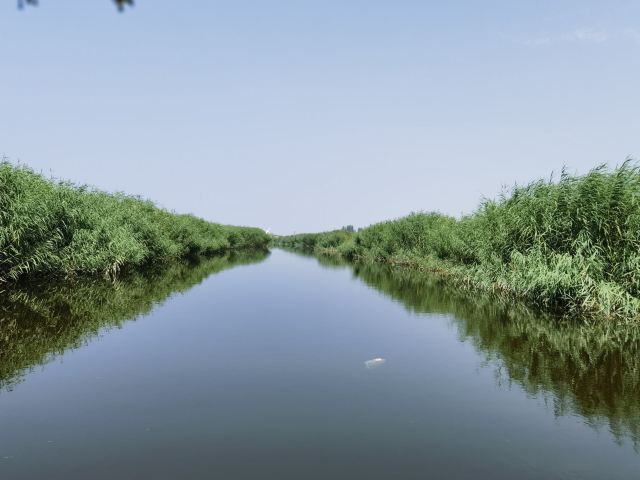 乌梁素海生态旅游景区(暂停开放)旅行图片 3