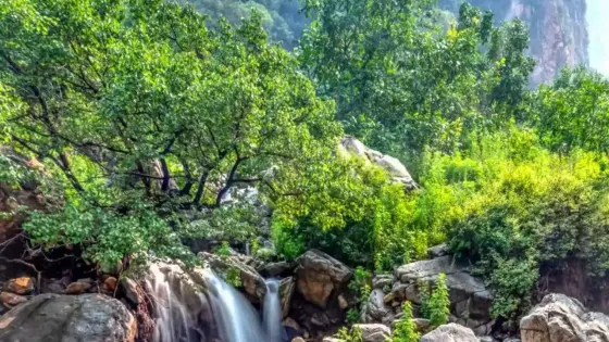 大茂山