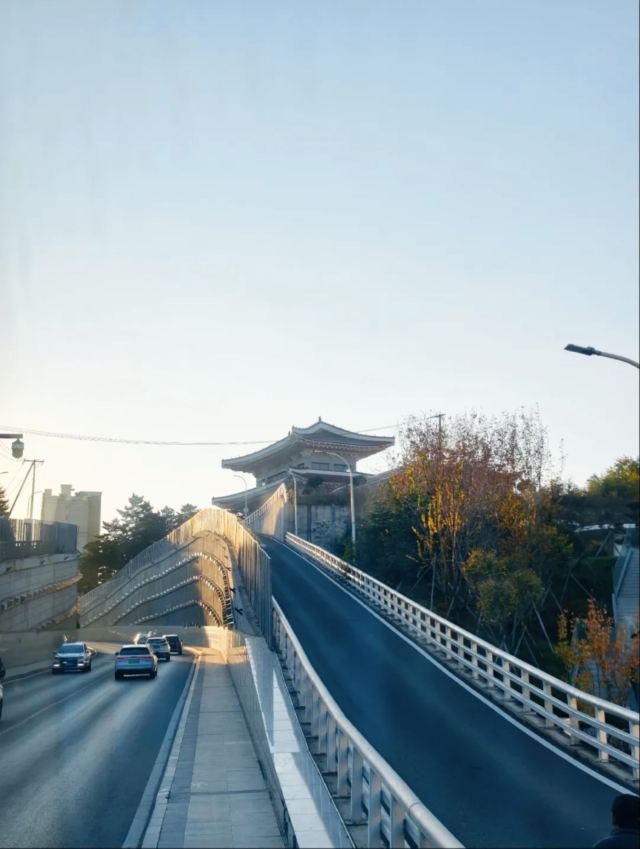 发展大坡旅行图片 1