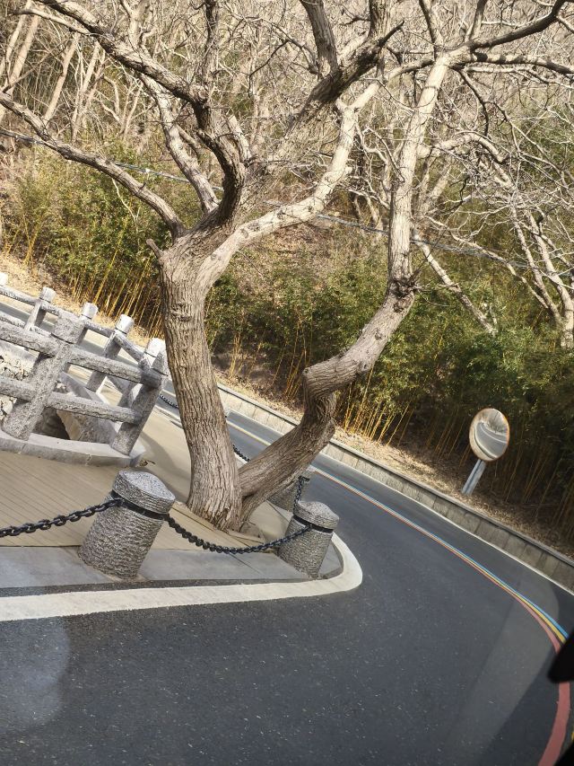 花果山风景区旅行图片 3