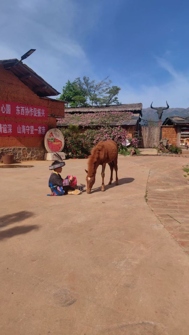 太阳谷·千鼓彝寨旅行图片 5