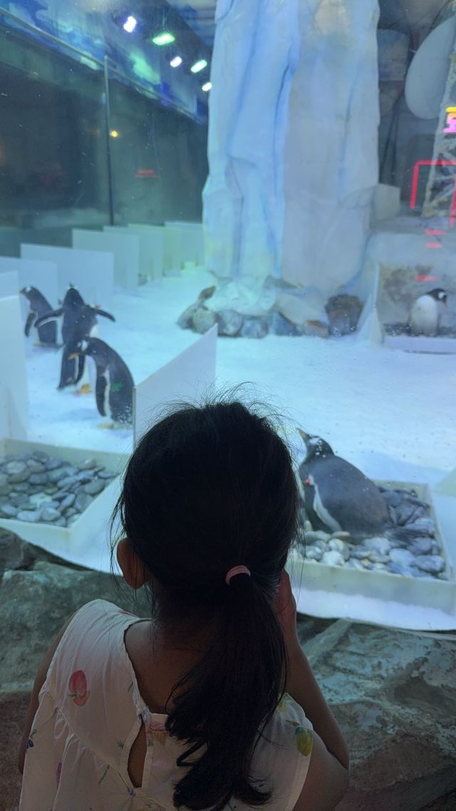 栖霞山风景名胜区旅行图片 2