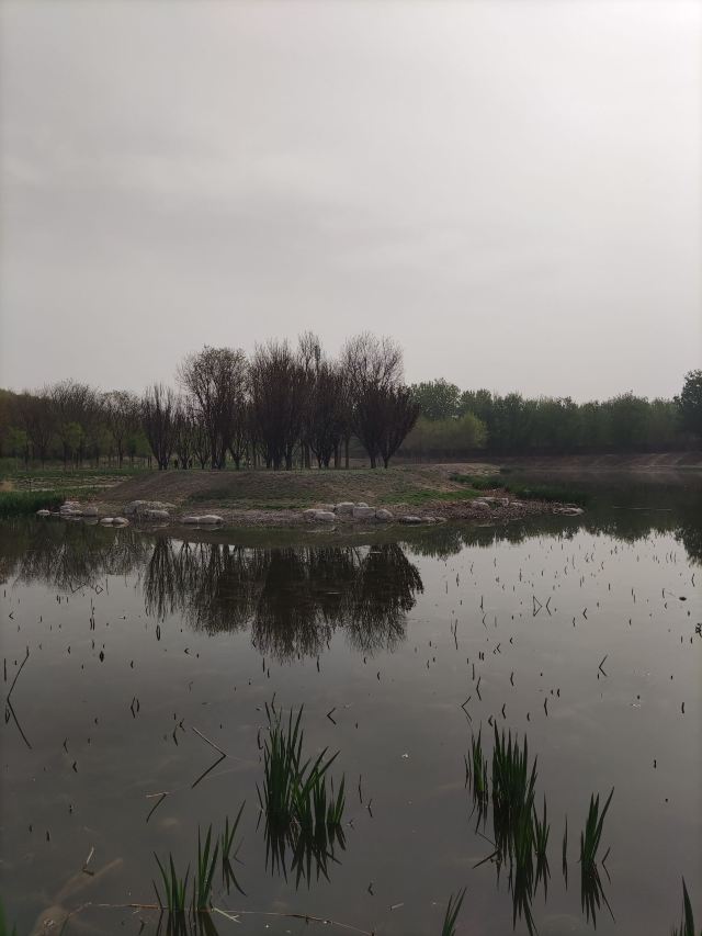 南苑森林湿地公园旅行图片 11