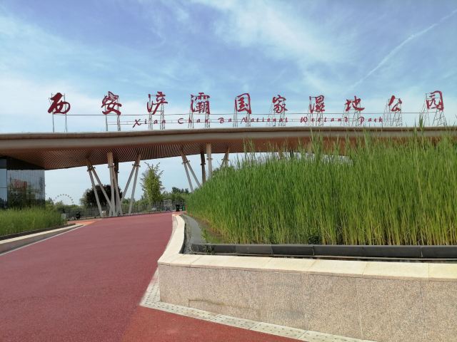 西安浐灞国家湿地公园旅行图片 1
