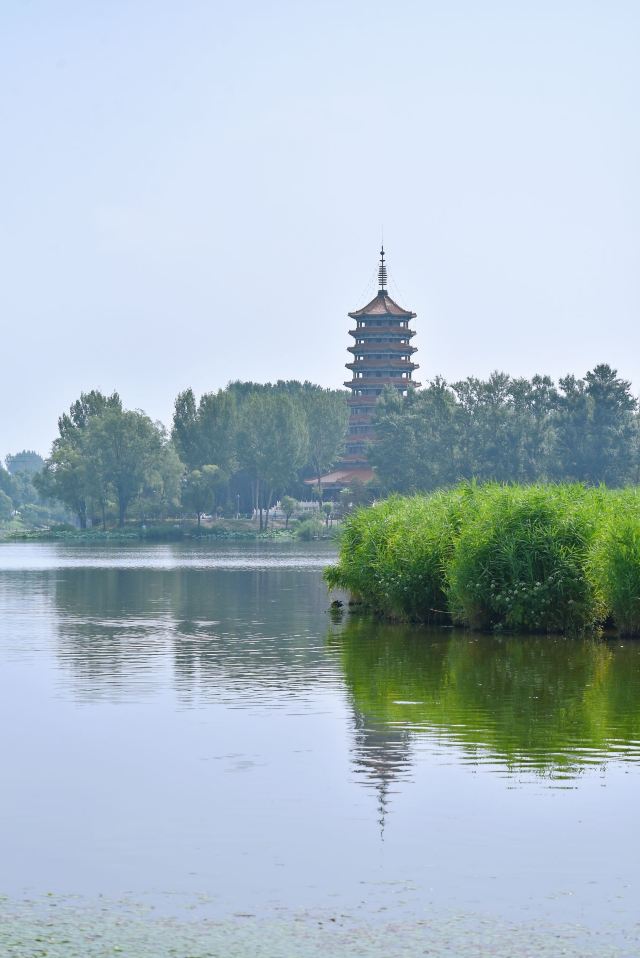东湖公园旅行图片 2