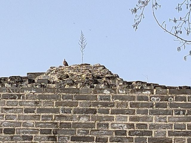 北京明城墙遗址公园旅行图片 7