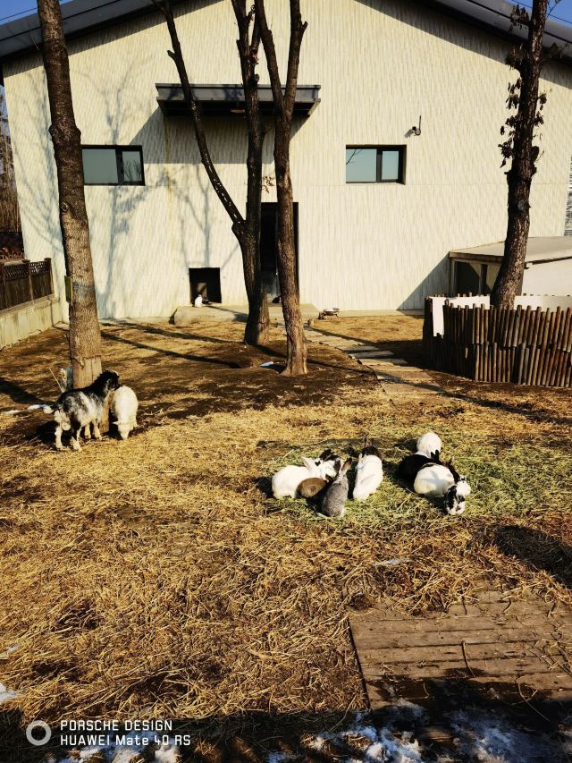 牡丹江珍稀动物园旅行图片 3