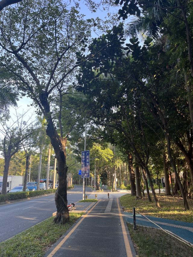 尖岗山公园旅行图片 1