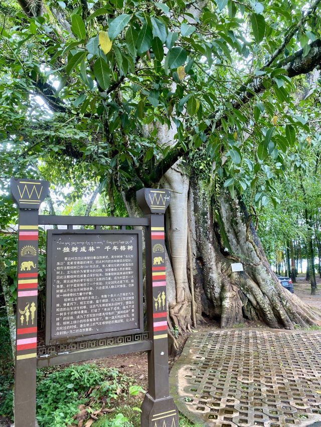曼远村旅行图片 8