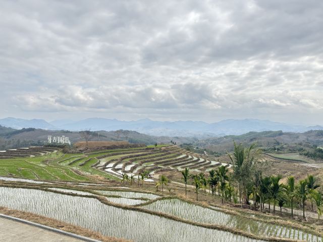 牙胡梯田景区旅行图片 10