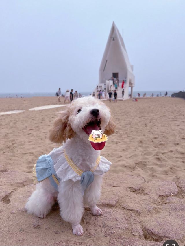 阿那亚礼堂旅行图片 2