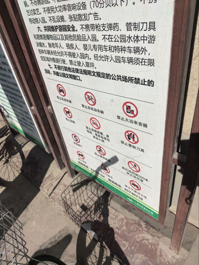 上海共青森林公园旅行图片 8