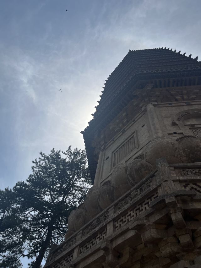 觉山寺塔旅行图片 5