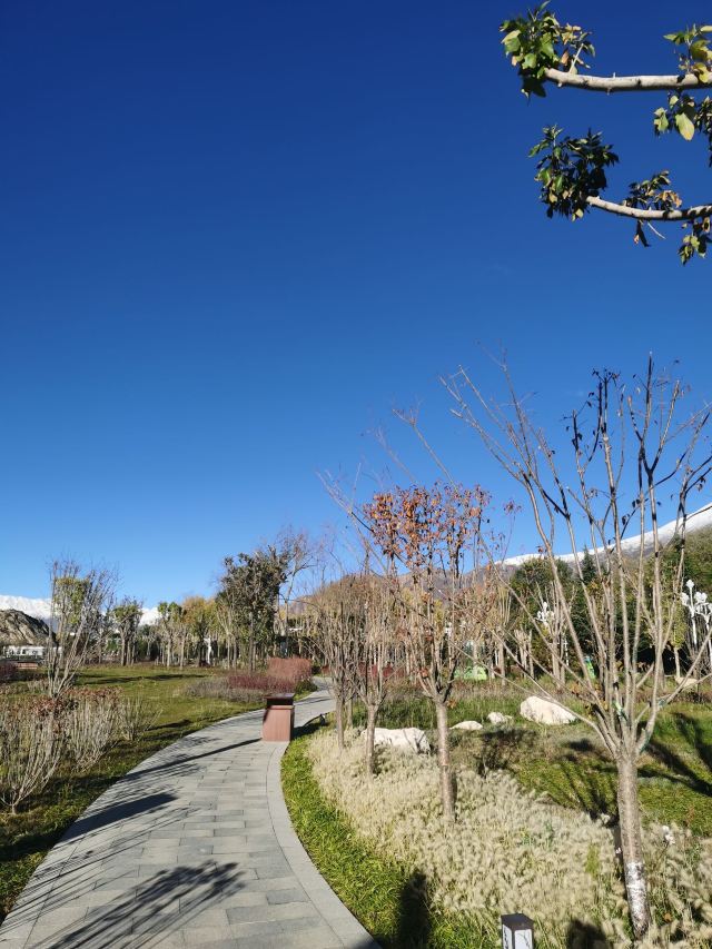 团结公园旅行图片 3