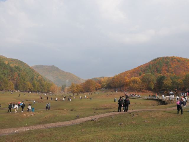 飞泷金山鹿苑旅行图片 1