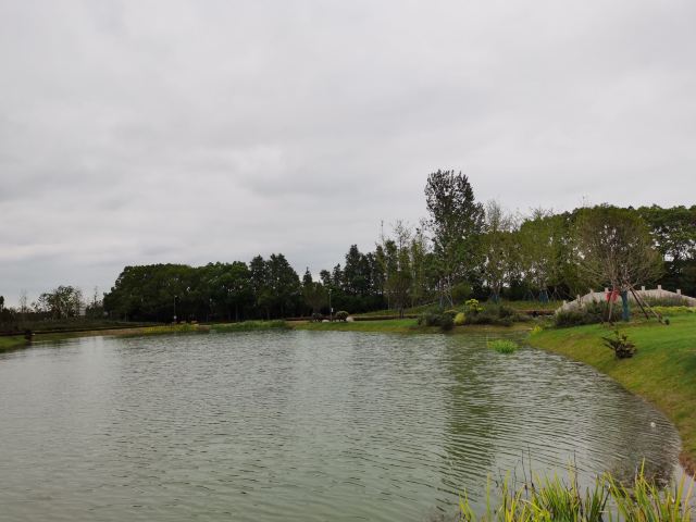 上海浦江之首旅行图片 2