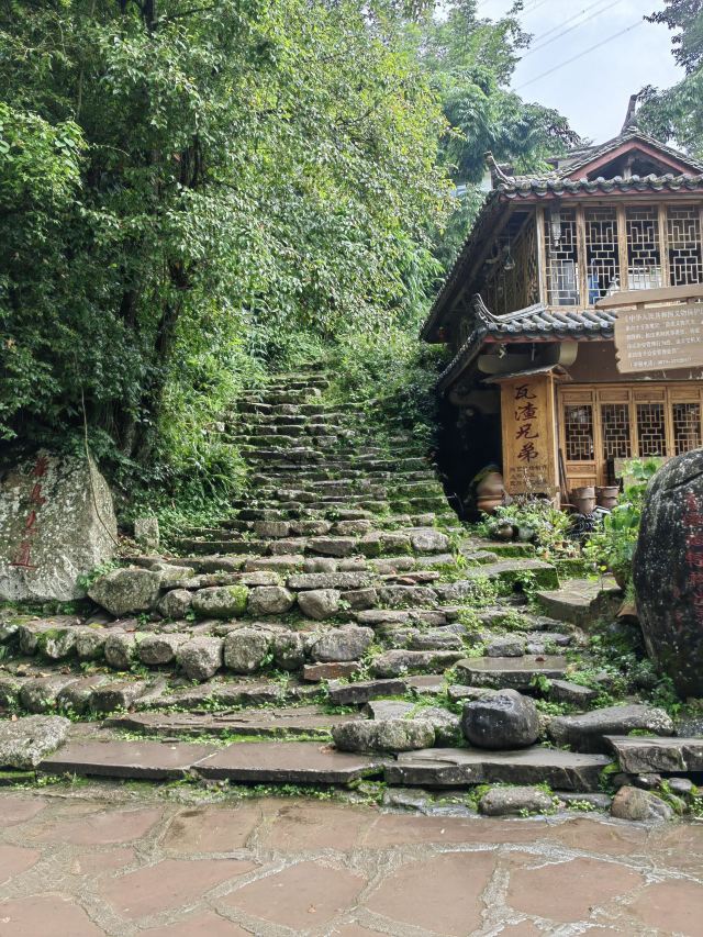 那柯里茶马驿站旅行图片 5