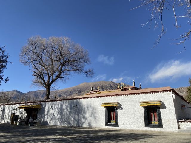 罗布林卡旅行图片 3