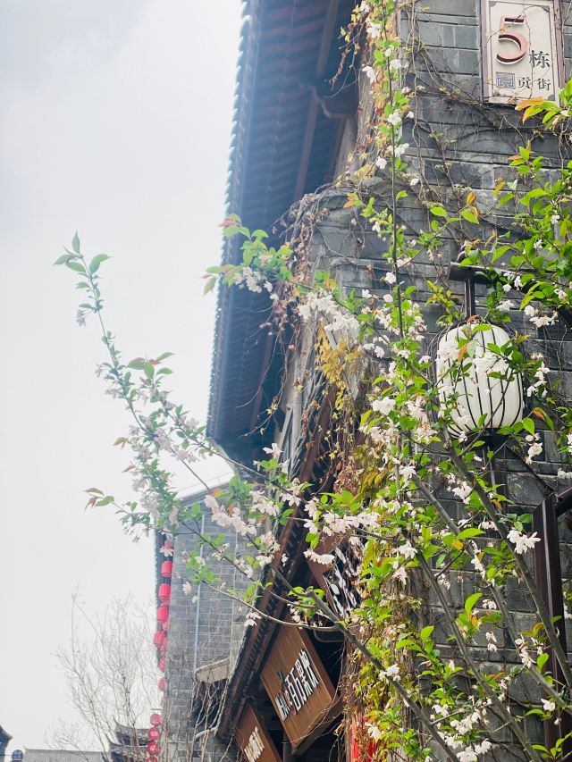 贡街公园旅行图片 3