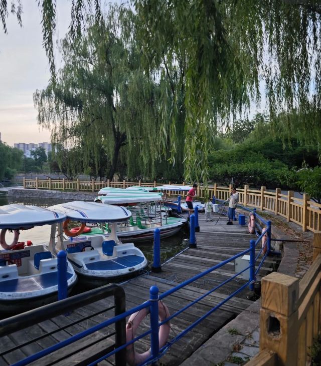 兴隆公园旅行图片 3