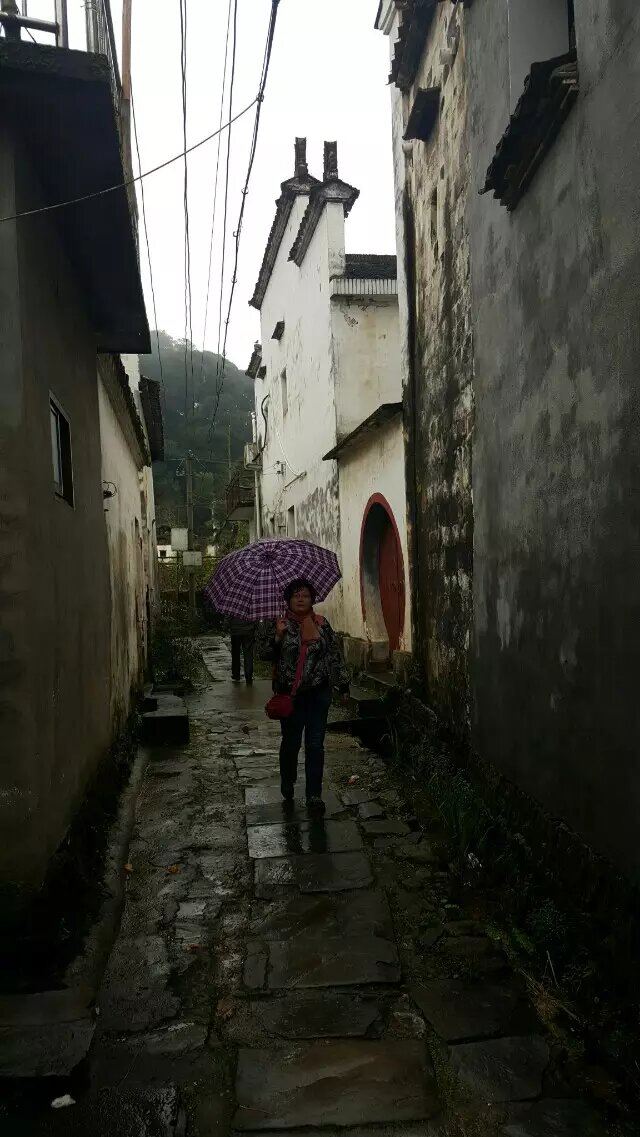 新江湾湿地生态观鸟拍鸟基地旅行图片 2