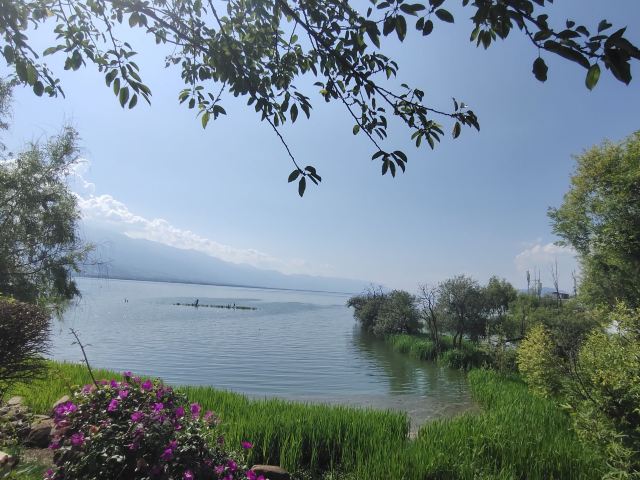 洱海月湿地公园旅行图片 2