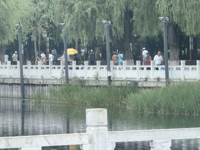 劳动公园旅行图片 4