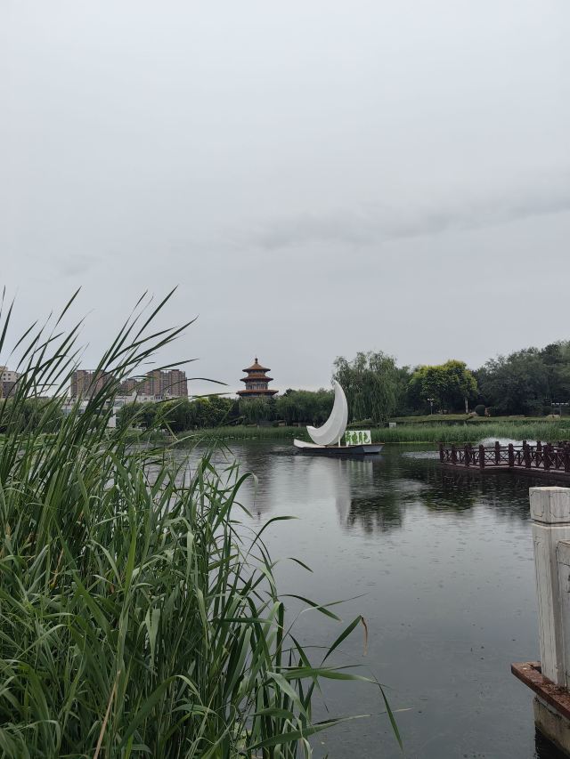 劳动公园旅行图片 10