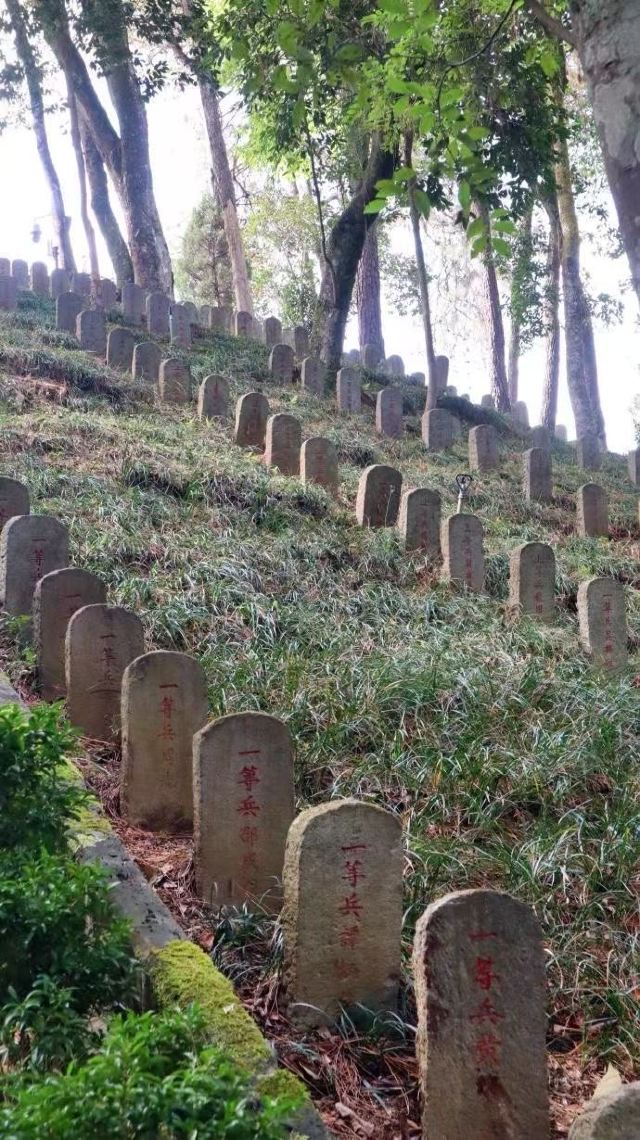 国殇墓园旅行图片 5