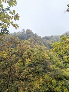 天然画廊-南江-可乐味的柠萌哒啦