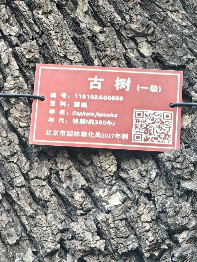 广济寺旅行图片 5