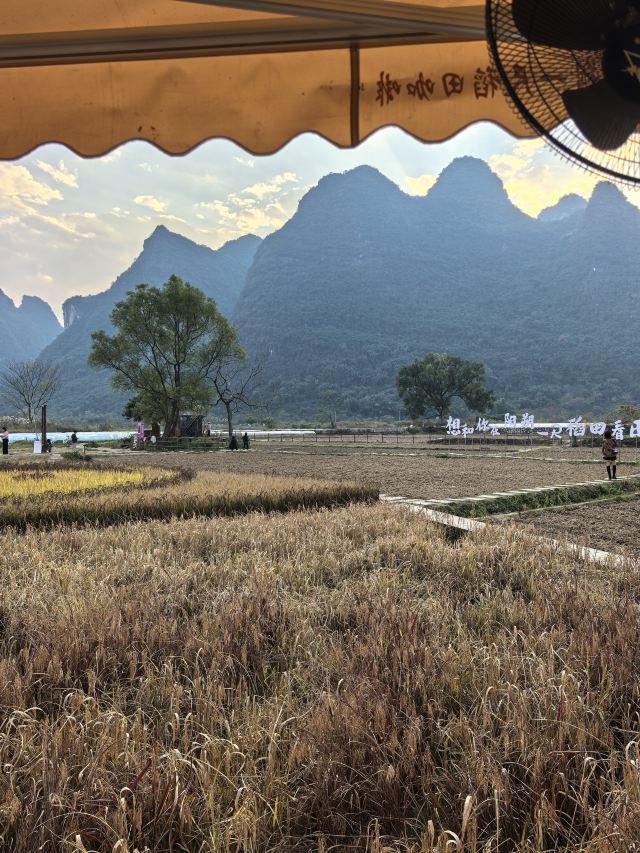 遇龙河景区旅行图片 5