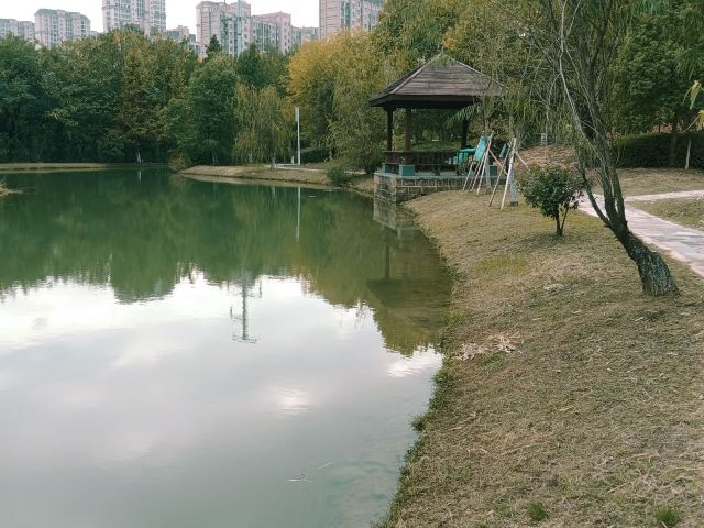 凤凰磁浮观光快线旅行图片 4
