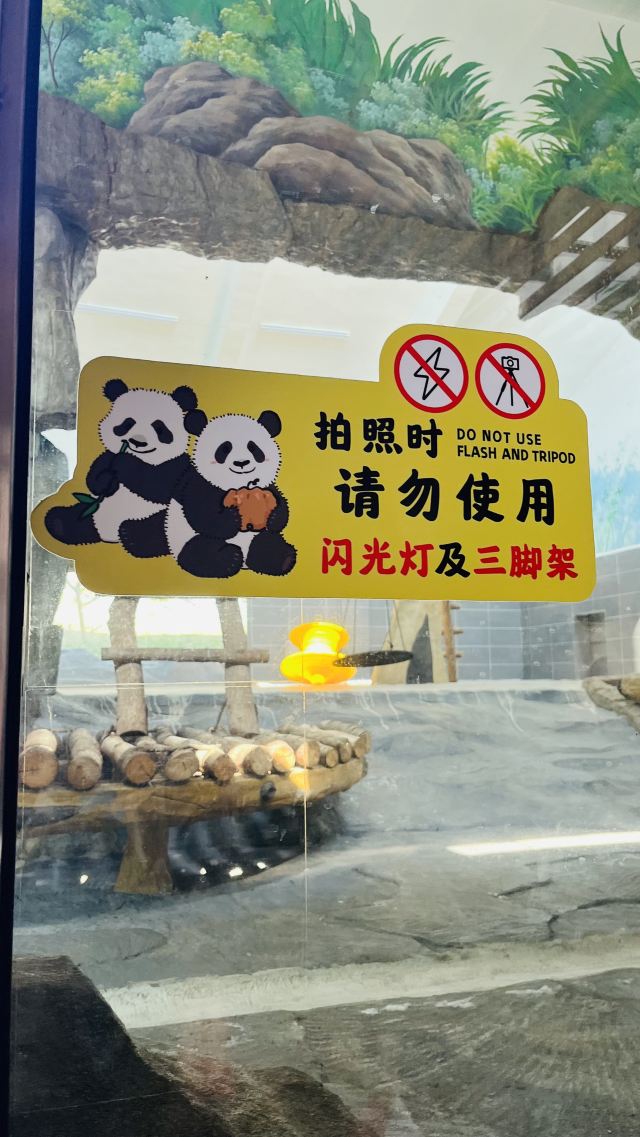 大熊猫馆旅行图片 5