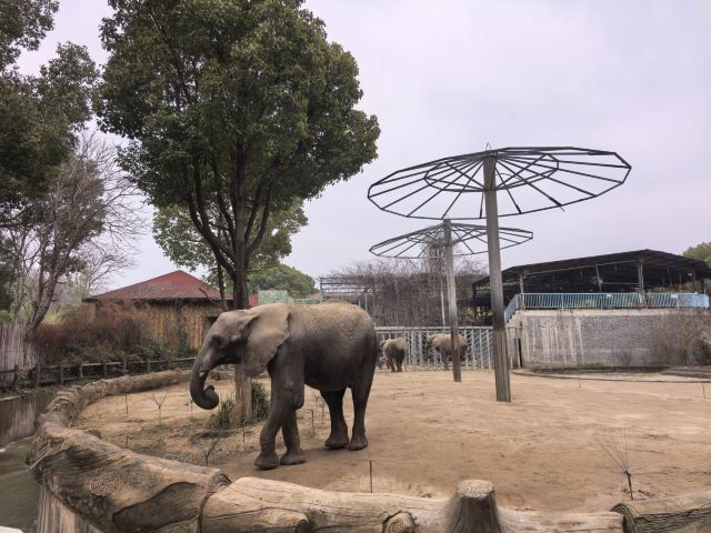 中国春秋淹城旅游区旅行图片 3