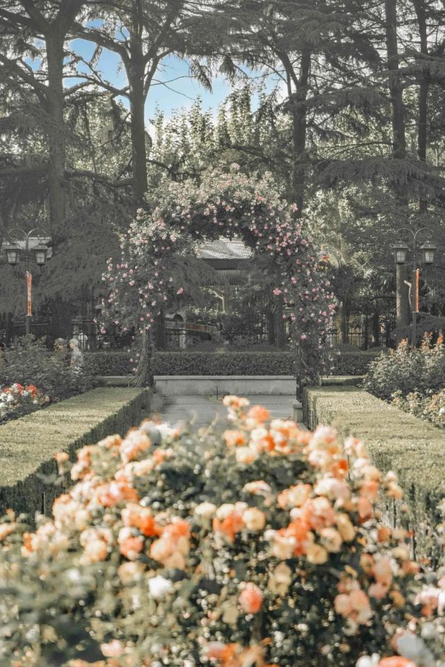 黄浦公园旅行图片 2