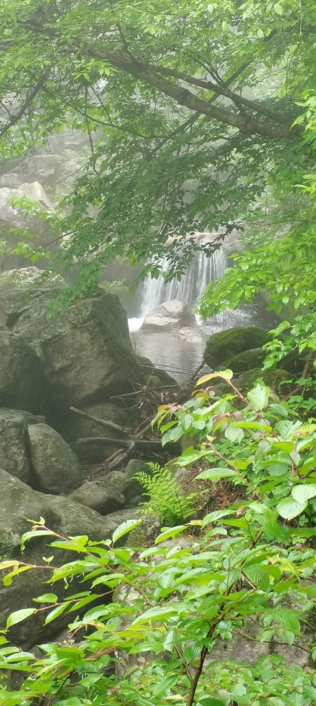 马鬃岭景区旅行图片 4