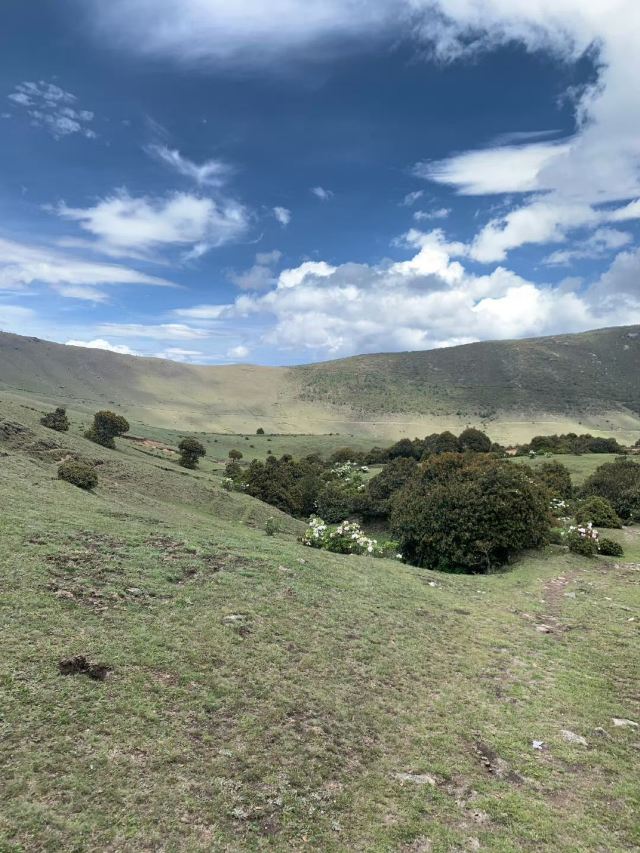 鸟吊山旅行图片 9