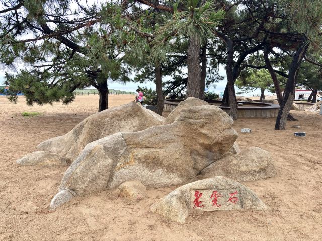 老虎石海上公园旅行图片 9