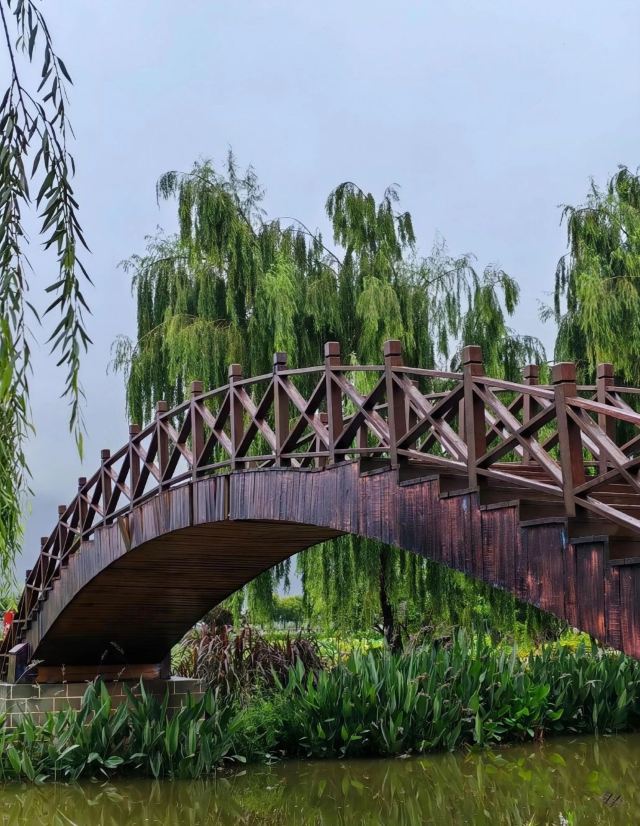 麒麟水乡旅行图片 2