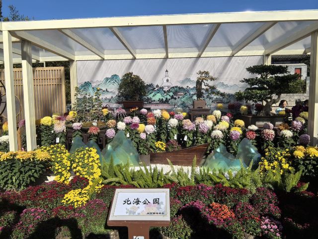 北海公园旅行图片 5