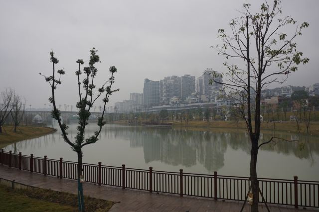 花溪湖公园旅行图片 2