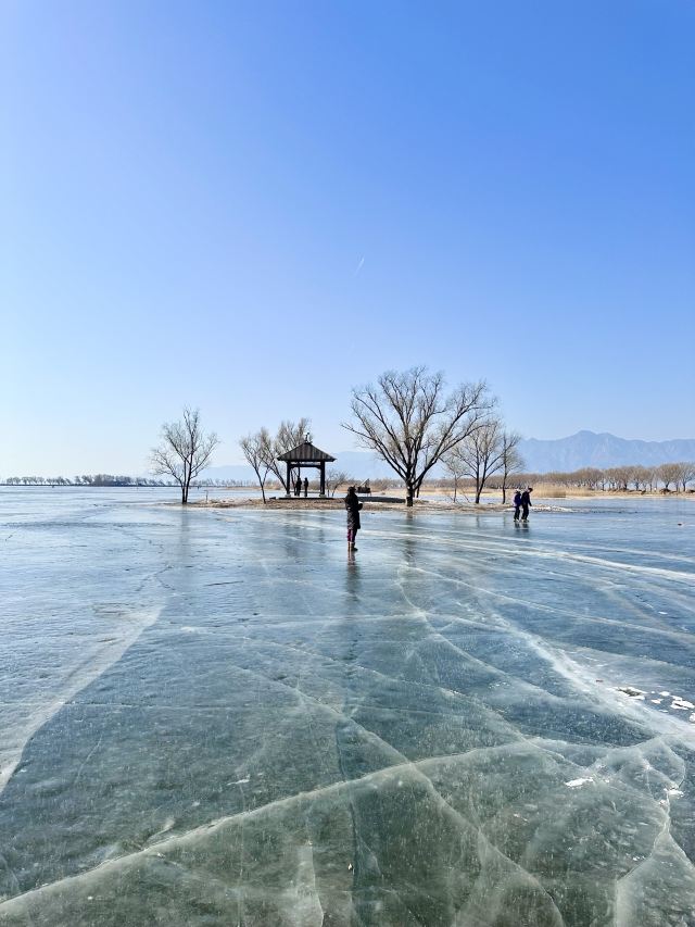 野鸭湖国家湿地公园旅行图片 7