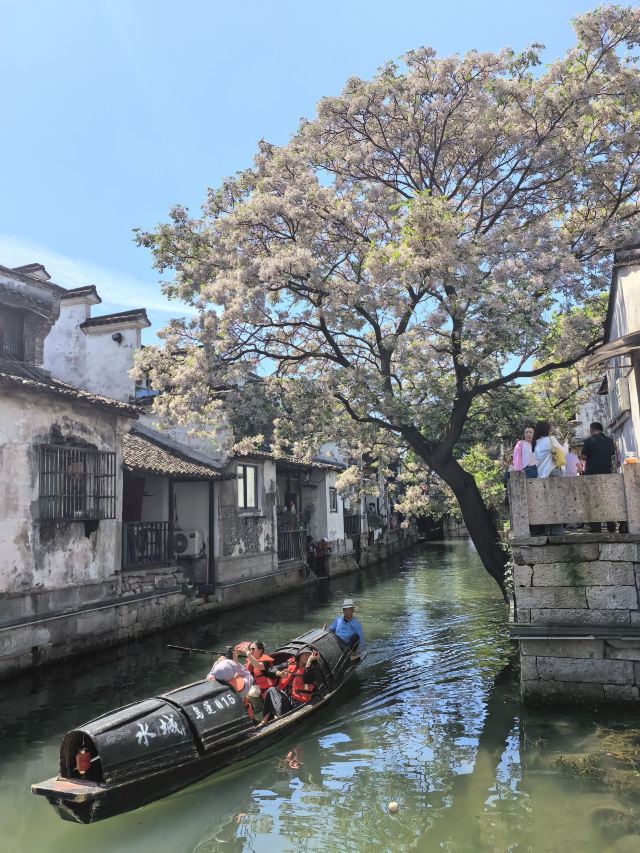 绍兴仓桥直街游玩攻略简介,绍兴仓桥直街门票/地址/图片/开放时间/照片/门票价格【携程攻略】