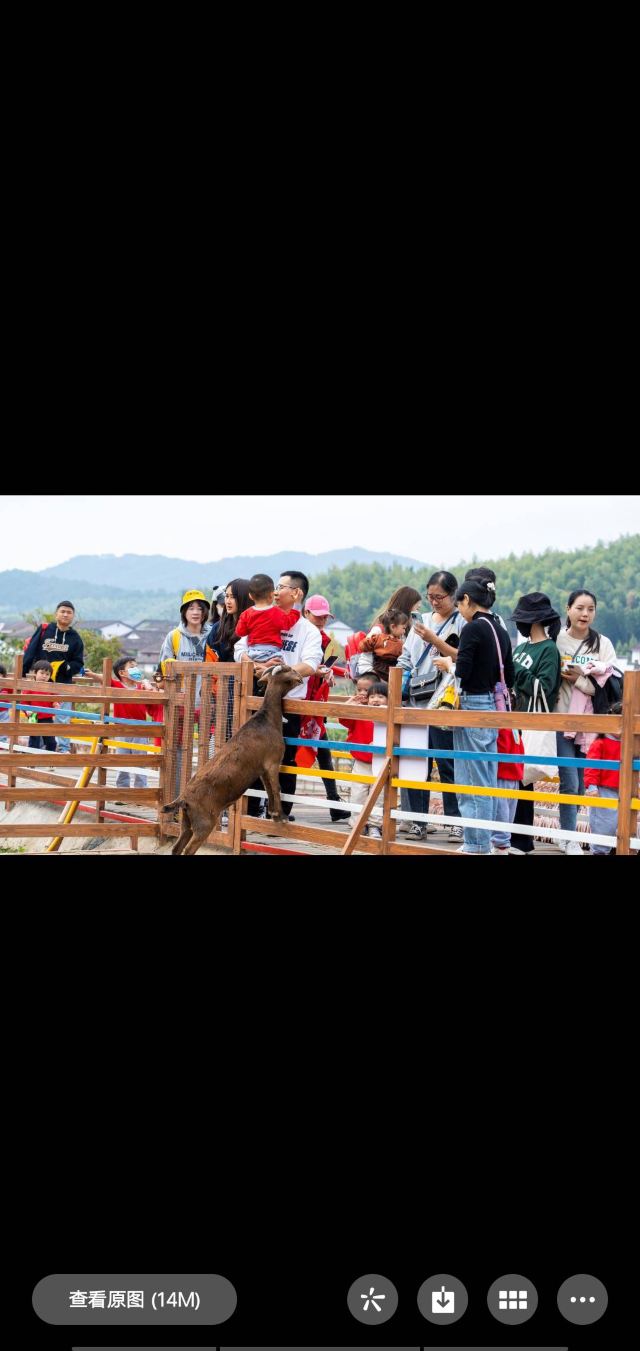 江西野狼谷景区旅行图片 4