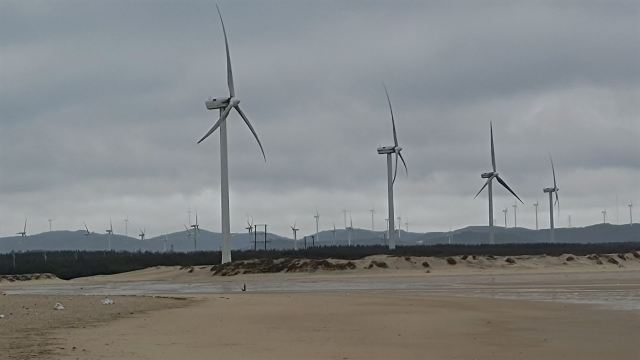 蓝眼泪观景点(长江澳海滩)旅行图片 2