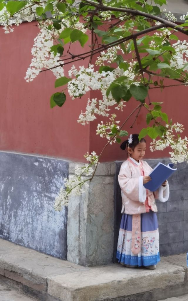 智化寺旅行图片 2